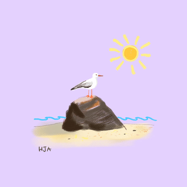 Seagull Onesie